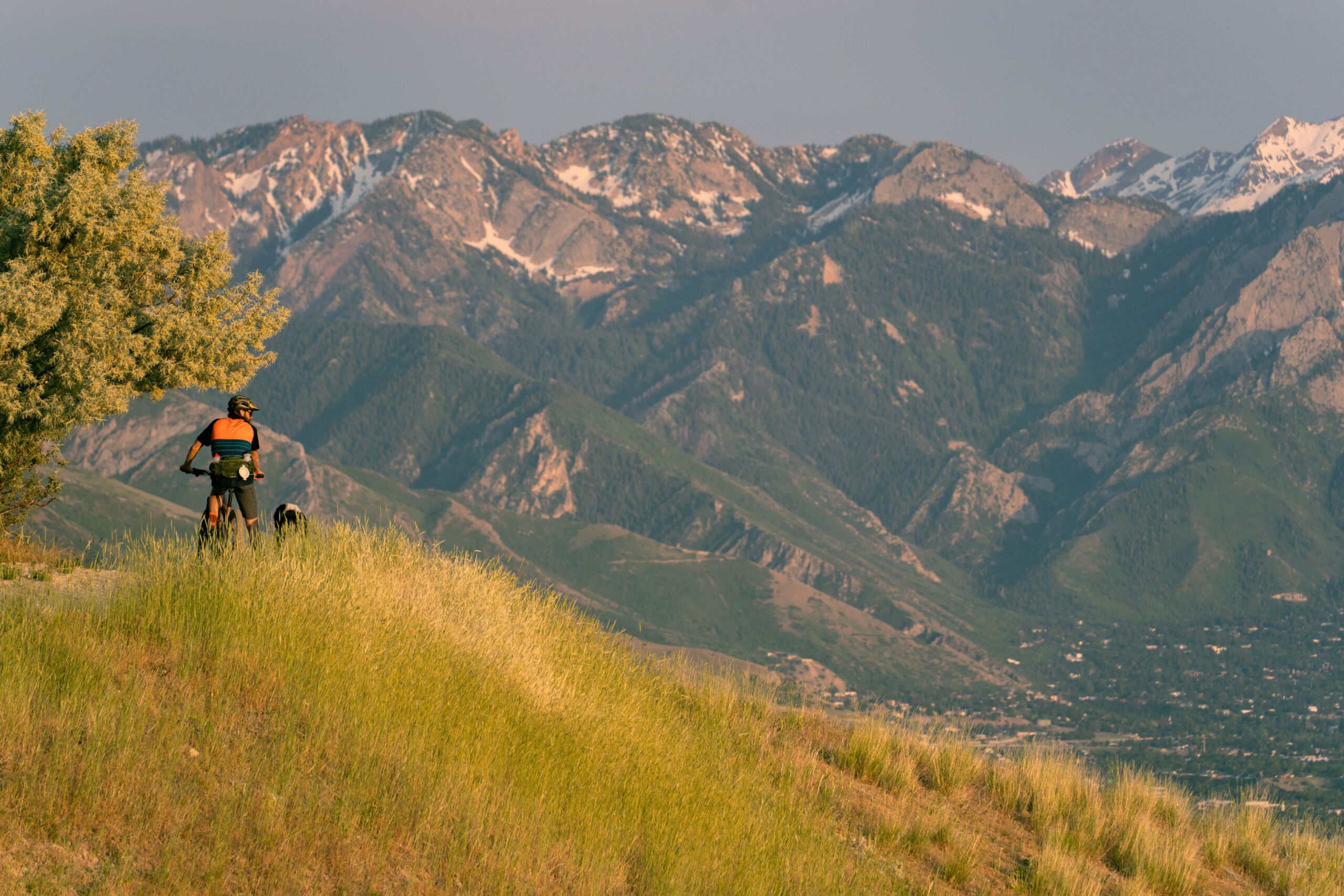 mountain biking in grassy mountains